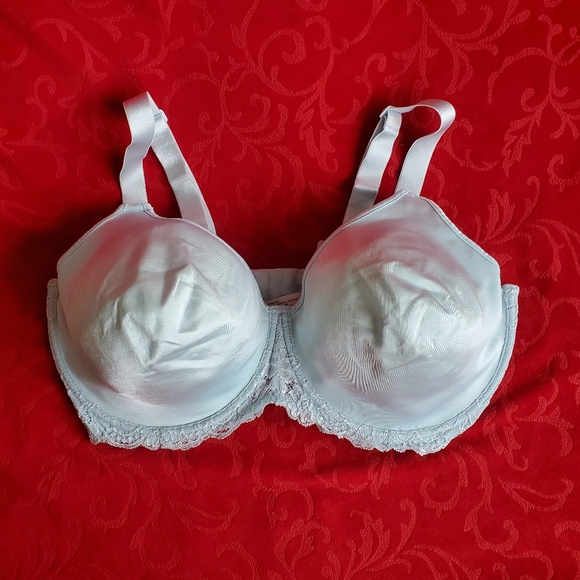 42DDD - Addition-Elle Blue Underwire Bra w/ Lace Mesh - Convertible Strap - EUC - Picture 3 of 10